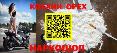 гидра Кимры