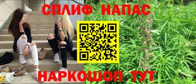 гидра Кимры