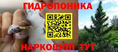 метадон Кингисепп