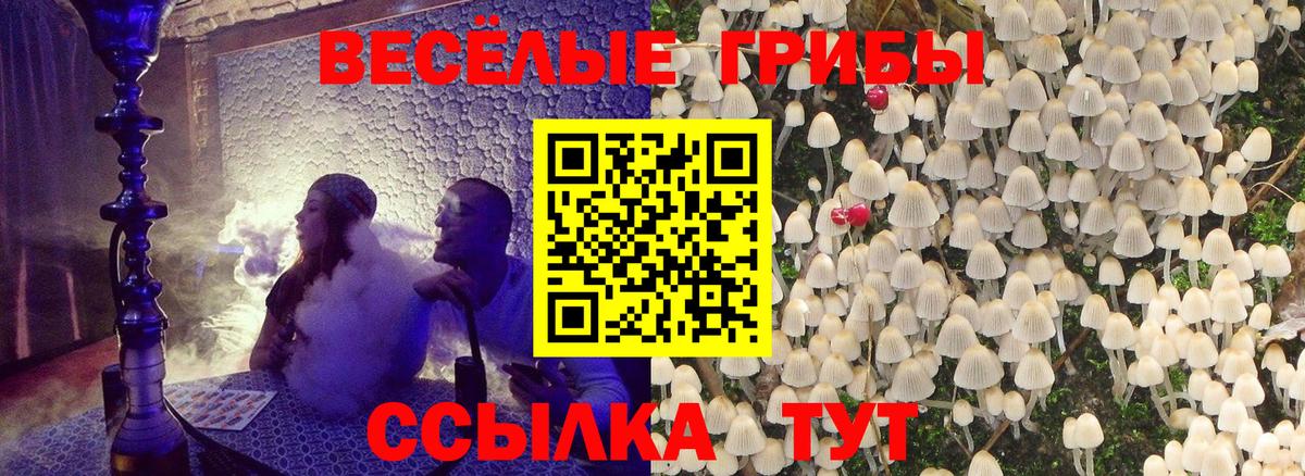 Псилоцибиновые грибы Cubensis Великий Новгород