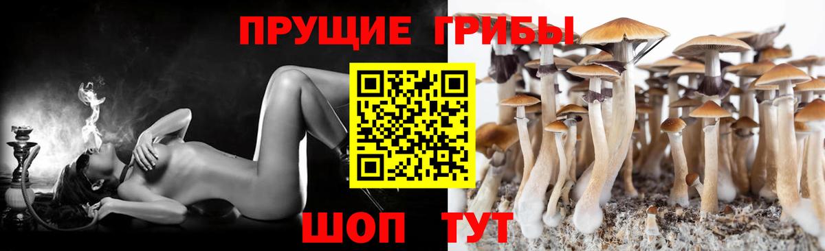 Великий Новгород  Галлюциногенные грибы ЛСД  Вход с VPN 