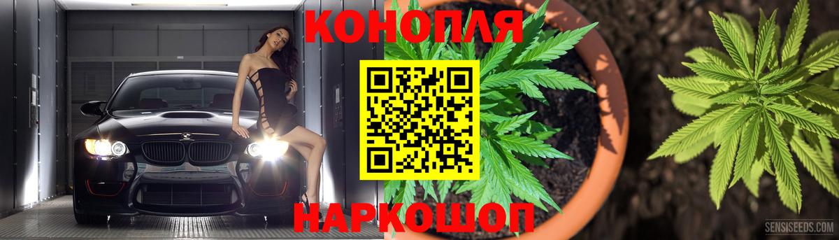Великий Новгород  Марихуана конопля  Бошки марихуана сатива  Бошки Шишки Amnesia  Вход с VPN  Каннабис план 